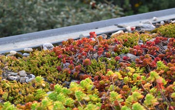 the cost of Ellacombe green roof installation