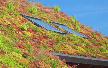 Ellacombe living roof systems