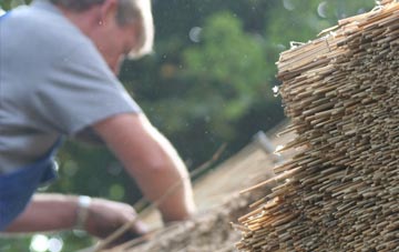 professional Ellacombe thatchers